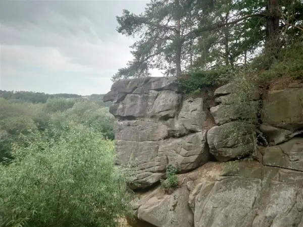 Skalne miasto w Ciężkowicach, z formacją skalną przypominającą głowę orła, otoczone bujną zielenią i drzewami.
